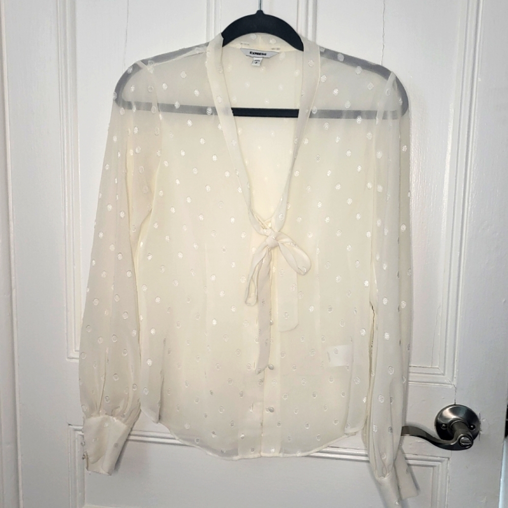 Express sheer blouse